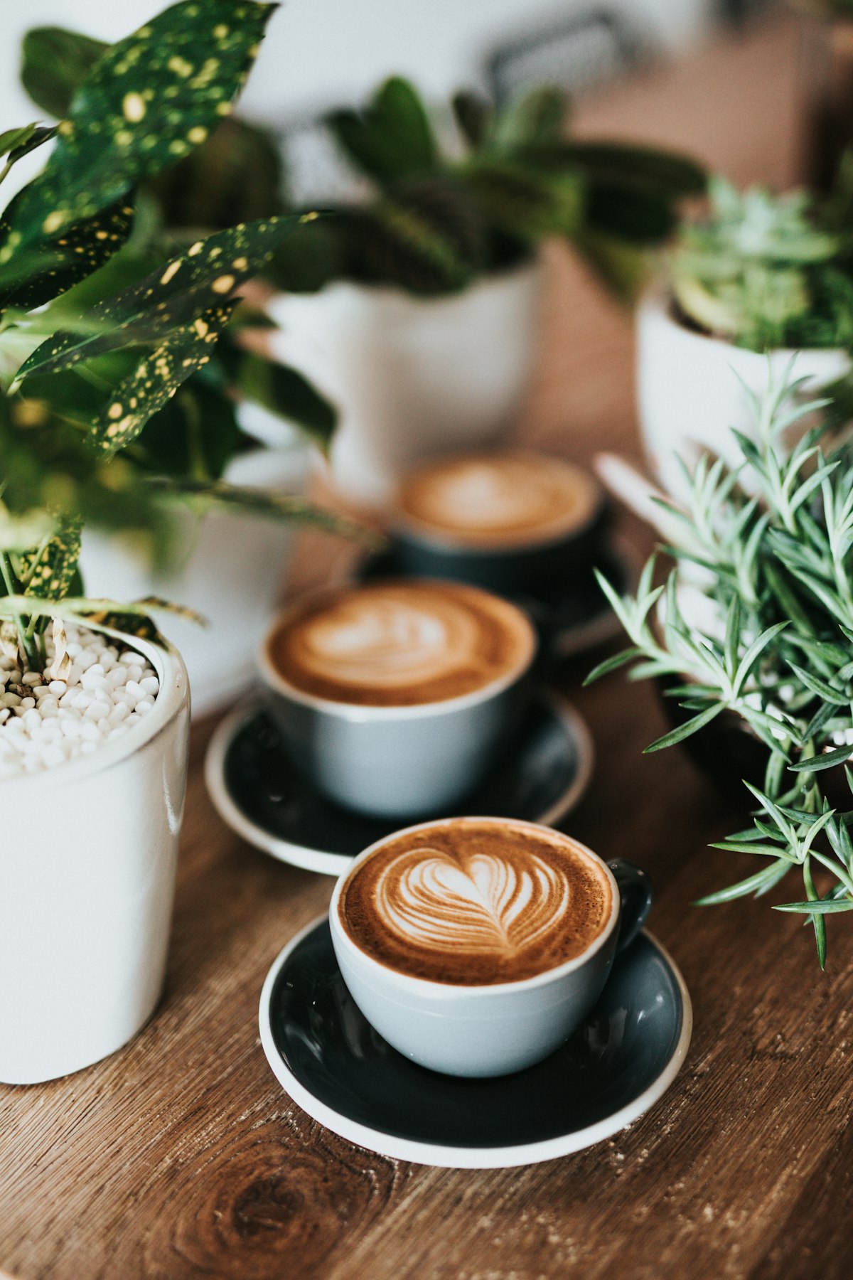 Coffee cups with latte art surrounded by plants