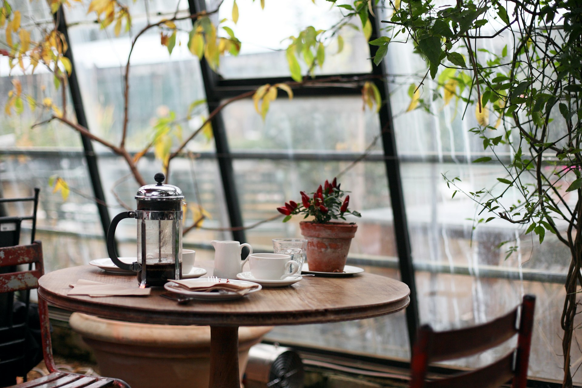 Cozy plant-filled table setting, evoking The Hut Café's patio atmosphere